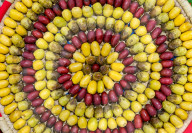 Qatar Local Dates Festival 2025