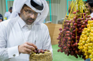 Qatar Local Dates Festival 2025