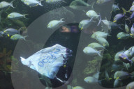 Sea World In Indonesia