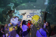 Sea World In Indonesia