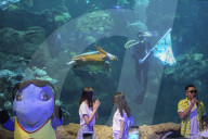 Sea World In Indonesia