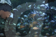 Sea World In Indonesia