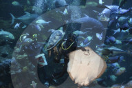 Sea World In Indonesia