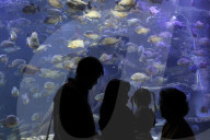 Sea World In Indonesia