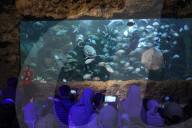 Sea World In Indonesia