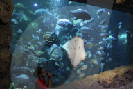Sea World In Indonesia