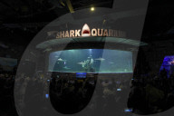 Sea World In Indonesia
