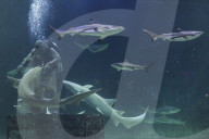 Sea World In Indonesia