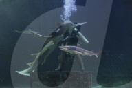 Sea World In Indonesia