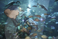 Sea World In Indonesia
