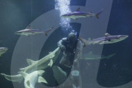 Sea World In Indonesia