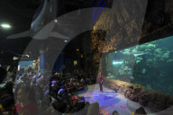 Sea World In Indonesia