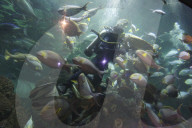 Sea World In Indonesia