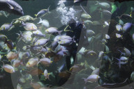 Sea World In Indonesia
