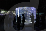Sea World In Indonesia