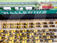 Excavator Export
 Growth