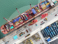 Excavator Export
 Growth