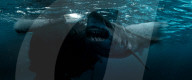 INSTINCT DE SURVIE - THE SHALLOWS (2016)