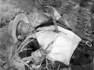 Violence a Jericho