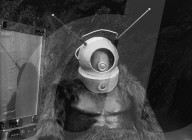 ROBOT MONSTER (1953)