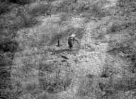 ROBOT MONSTER (1953)