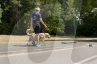 Remore controlled squirel helps train guide dogs 
