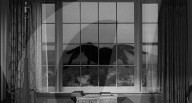 TARANTULA (1955)