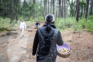 Collect Wild Mushrooms Species In La Malinche