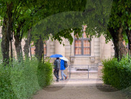 Heavy Rainfall At The Wuerzburg Residence Park