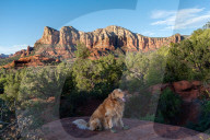 Red Rock Hiking Trails In Sedona Arizona