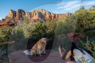 Red Rock Hiking Trails In Sedona Arizona