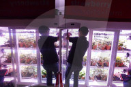 Innovative Strawberry Farming Method In Kuala Lumpur, Malaysia