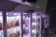 Innovative Strawberry Farming Method In Kuala Lumpur, Malaysia