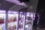 Innovative Strawberry Farming Method In Kuala Lumpur, Malaysia