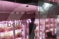 Innovative Strawberry Farming Method In Kuala Lumpur, Malaysia