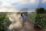  Lotus Pond Cooled By Spray in Yancheng