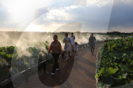 Lotus Pond Cooled By Spray in Yancheng