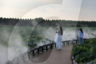  Lotus Pond Cooled By Spray in Yancheng