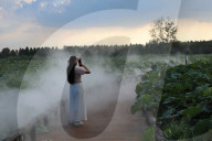  Lotus Pond Cooled By Spray in Yancheng