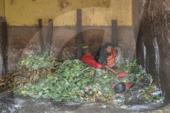 Wholesale Vegetable Market In Kolkata, India