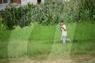 Daily Life In Nepal