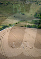 Long Man of Wilmington crop circle