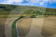 Long Man of Wilmington crop circle