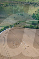 Long Man of Wilmington crop circle