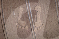 Long Man of Wilmington crop circle