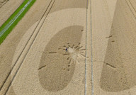 Long Man of Wilmington crop circle