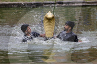Nag Panchami Festival Celebrated In Nepal
