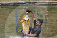 Nag Panchami Festival Celebrated In Nepal