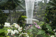 Jewel Changi Airport In Singapore