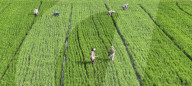 Farming